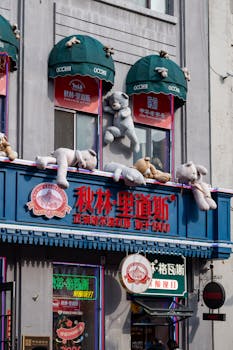  埃及旅游业强劲反弹，关键在于文化引擎与多元融合。 文化旅游