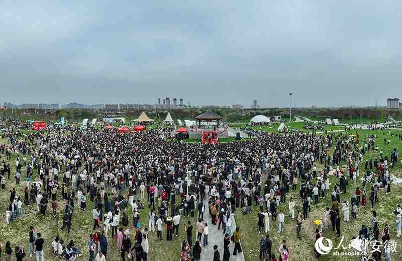  【文旅深度】15万株樱花如何炼成皖北爆款：固镇樱花季的数据逻辑与运营复盘 文化旅游 【文旅深度】15万株樱花如何炼成皖北爆款：固镇樱花季的数据逻辑与运营复盘 文化旅游