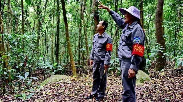  林业标准地：打开森林资源价值转化的制度之门 新闻