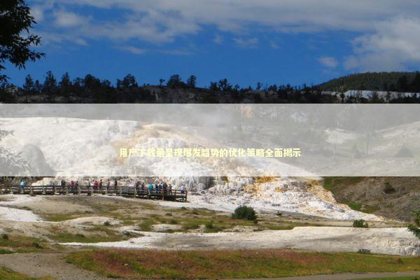 用户下载量呈现爆发趋势的优化策略全面揭示