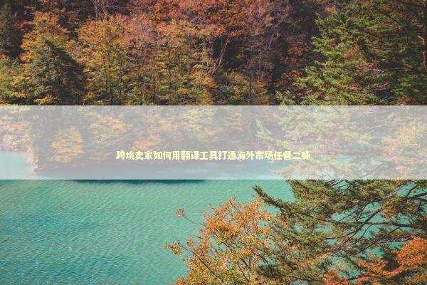 跨境卖家如何用翻译工具打通海外市场任督二脉 企业服务