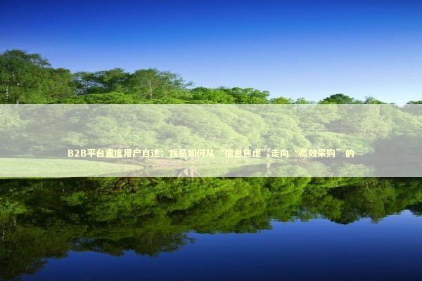 B2B平台重度用户自述：我是如何从“信息焦虑”走向“高效采购”的